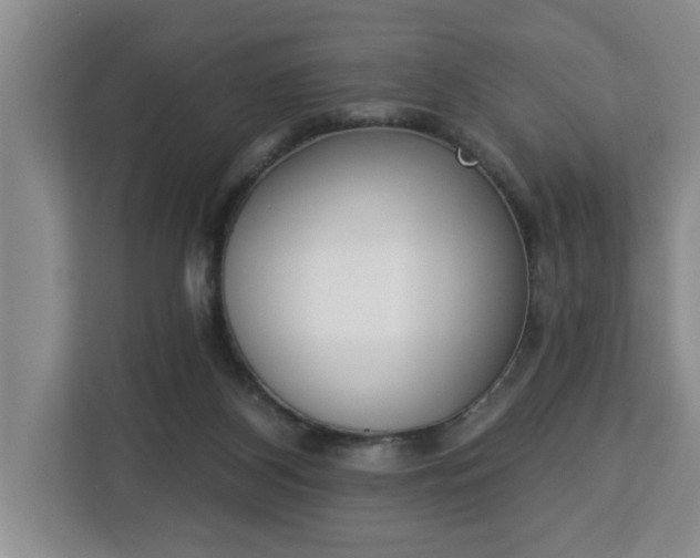 X0000112840116200908281559