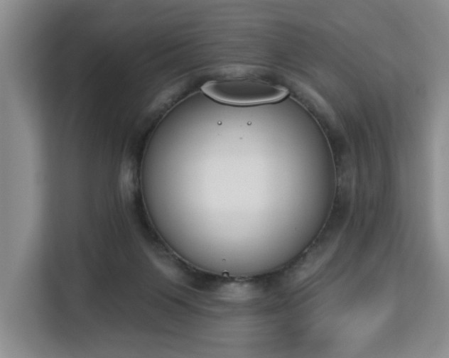 X0000112840119200908281559