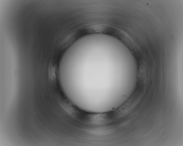 X0000112840122200908281559