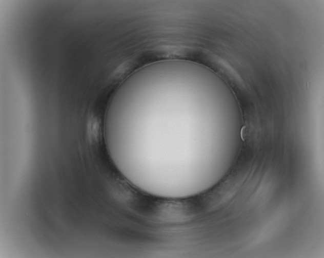 X0000112840123200908281559