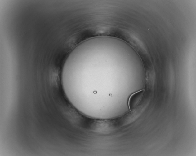 X0000112840127200908281559