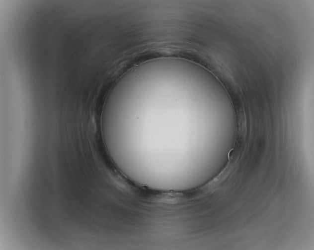 X0000112840128200908281559