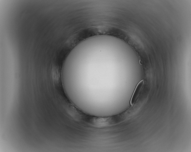 X0000112840129200908281559