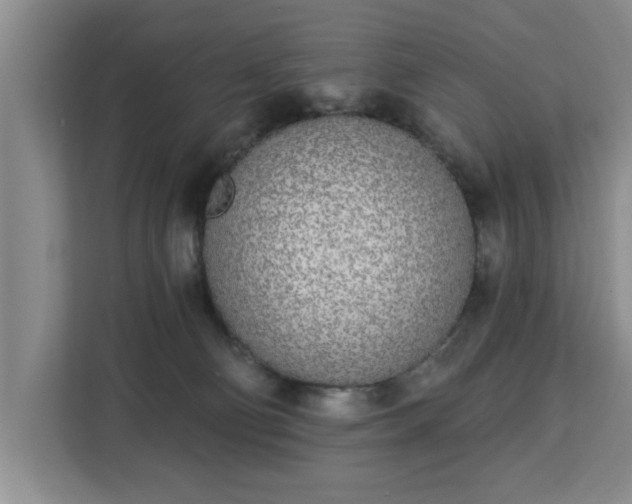 X0000112840130200908281559