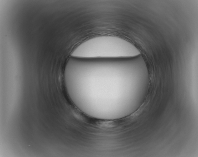 X0000112840132200908281559