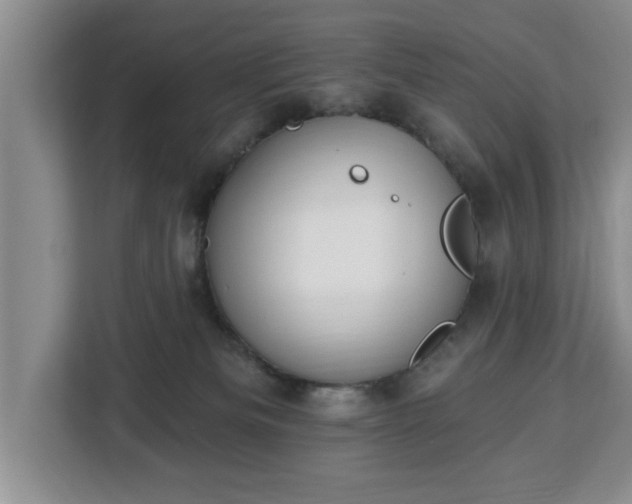 X0000112840133200908281559