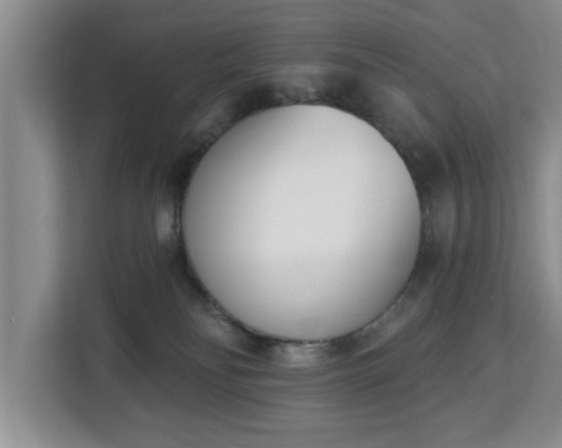 X0000112840134200908281559