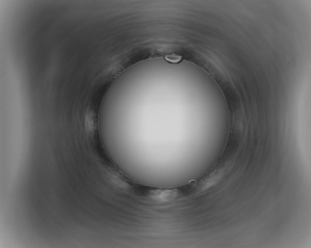 X0000112840135200908281559