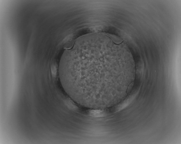 X0000112840139200908281559