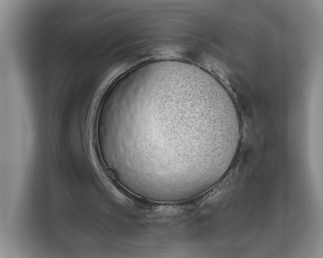 X0000112840145200908281558