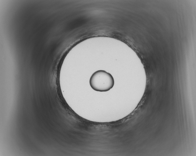 X0000112840146200908281558