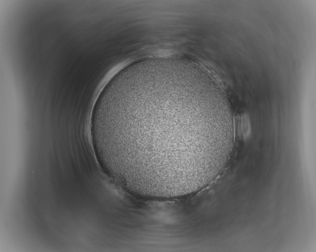 X0000112840147200908281558