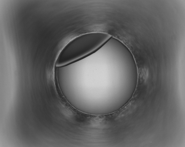 X0000112840148200908281558