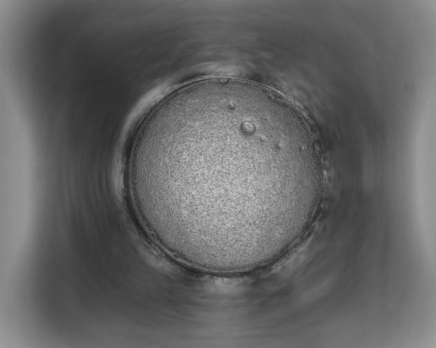 X0000112840149200908281558