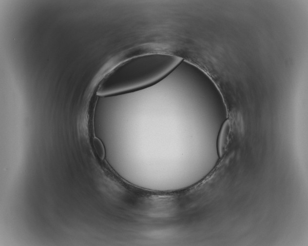 X0000112840150200908281558