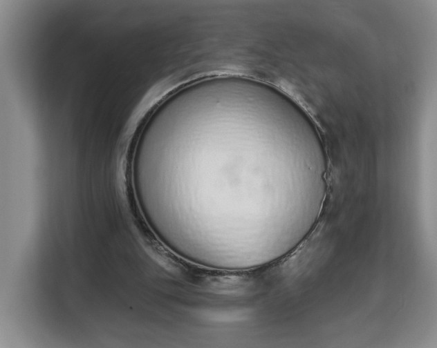 X0000112840151200908281558