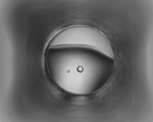 X0000112840152200908281558