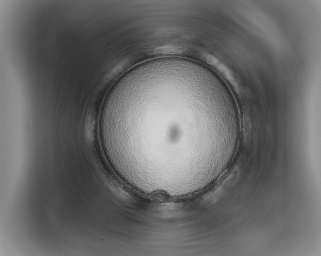 X0000112840153200908281558