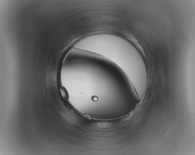 X0000112840154200908281558