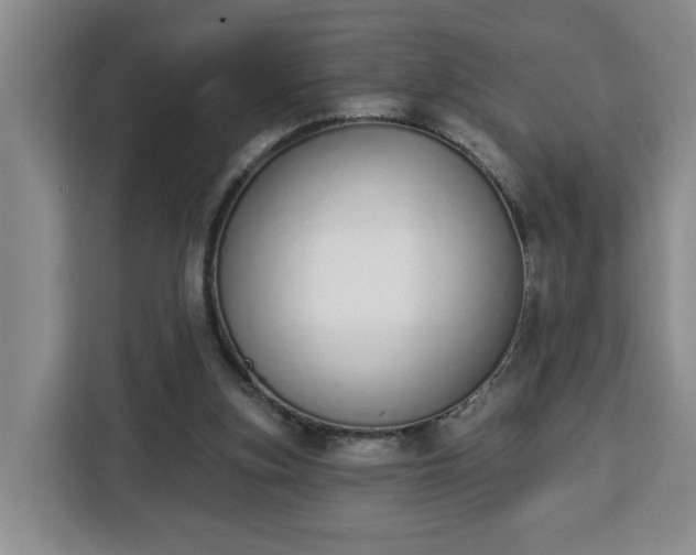 X0000112840155200908281559