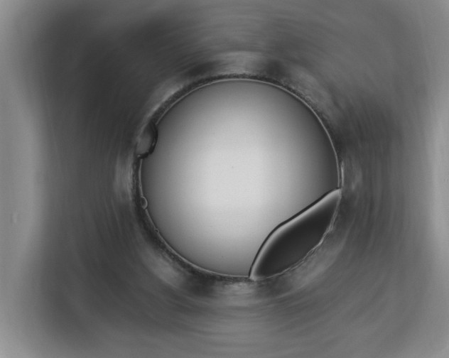 X0000112840156200908281559