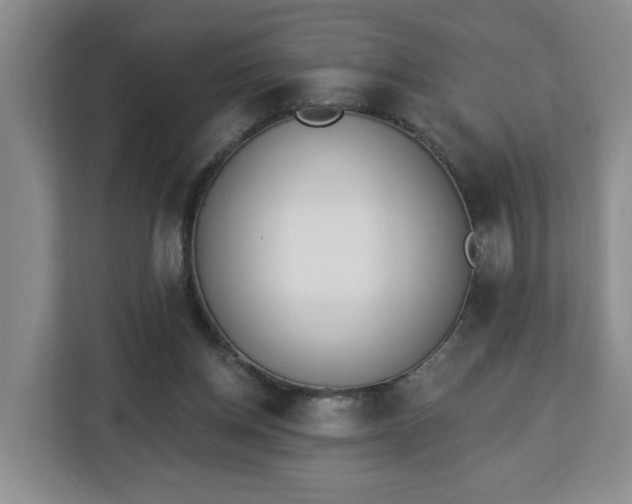 X0000112840158200908281559