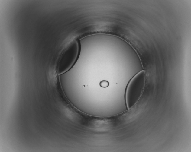 X0000112840160200908281559