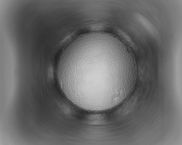 X0000112840161200908281559