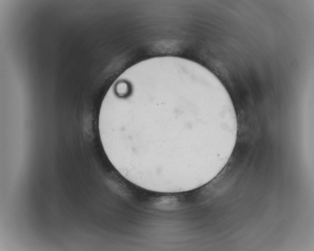 X0000112840162200908281559