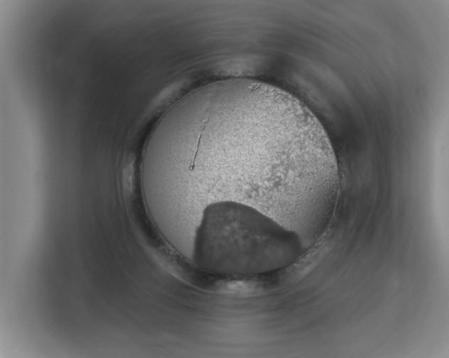 X0000112840163200908281559