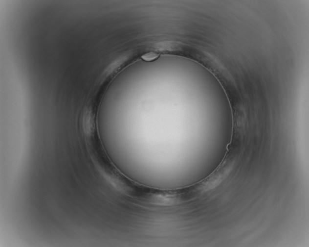 X0000112840164200908281559