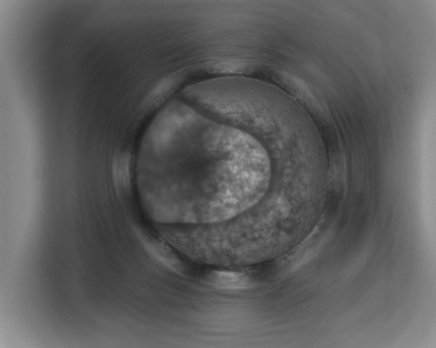 X0000112840167200908281559