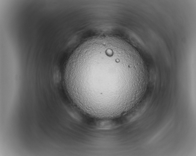 X0000112840173200908281559