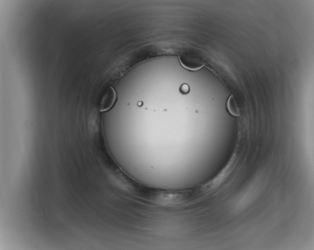 X0000112840174200908281559