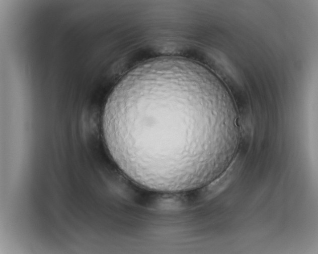 X0000112840175200908281559