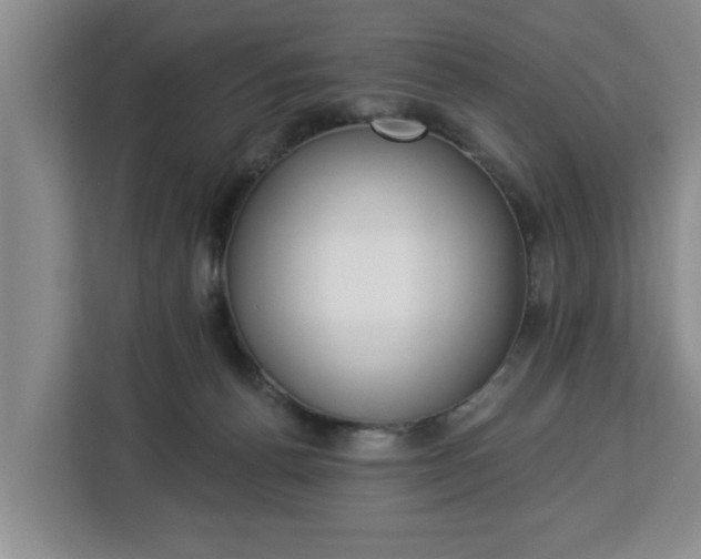 X0000112840176200908281559