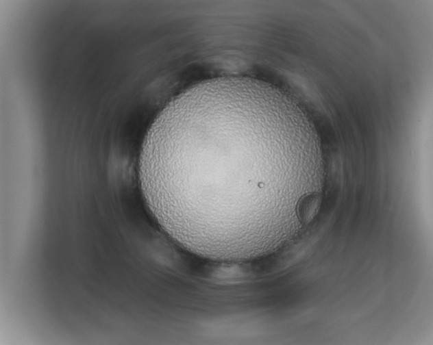 X0000112840177200908281559