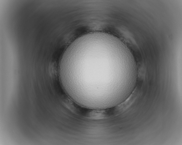 X0000112840179200908281559