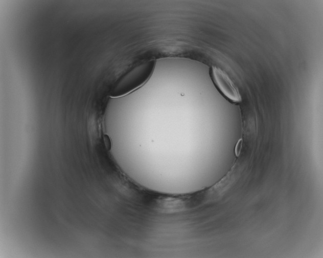 X0000112840180200908281559