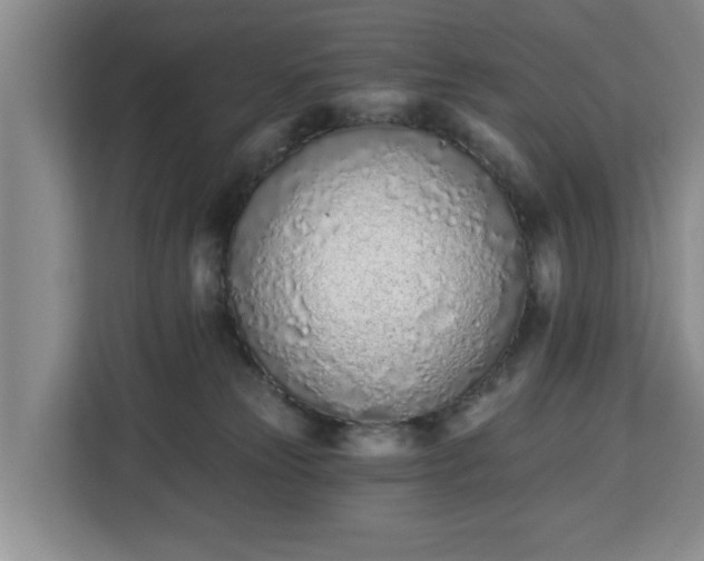 X0000112840181200908281559