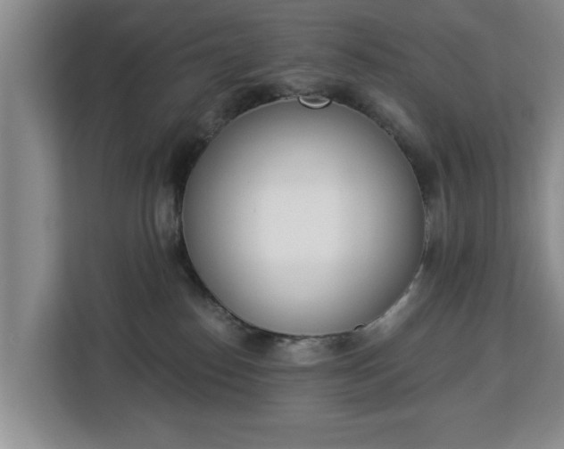 X0000112840186200908281559