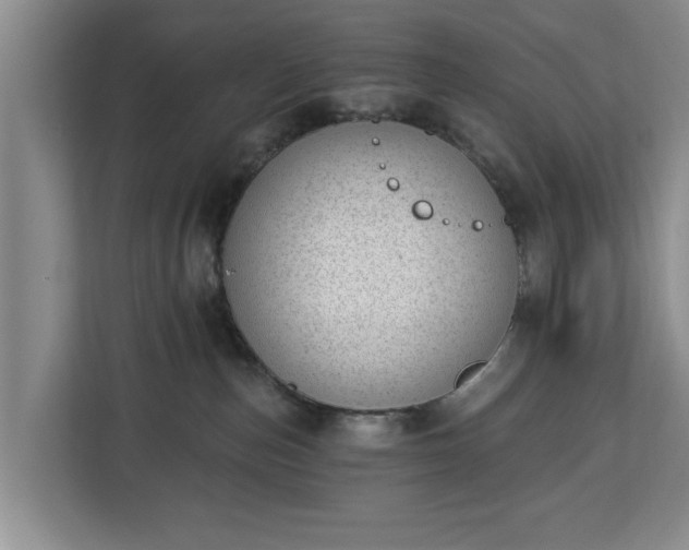 X0000112840187200908281559