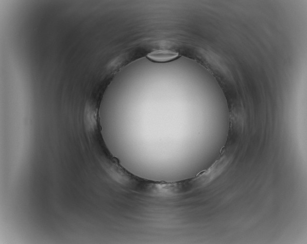 X0000112840188200908281559