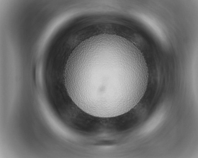 X0000112840189200908281559