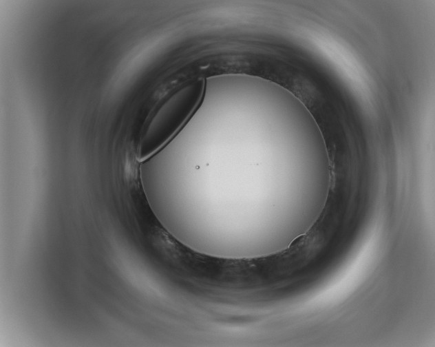 X0000112840190200908281559