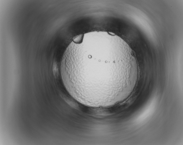 X0000112840191200908281559