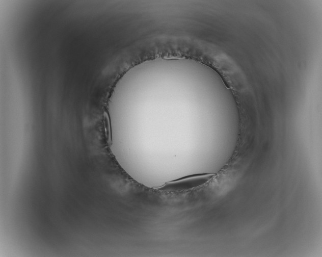 X0000112840192200908281559