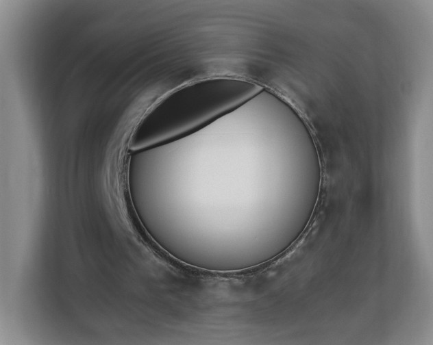 X0000112840193200908281558