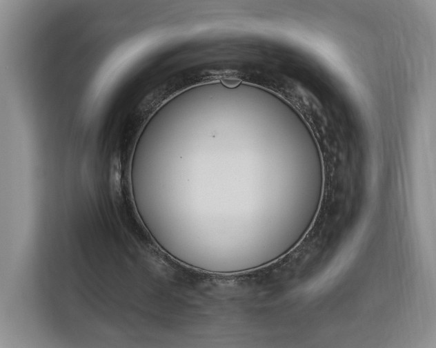 X0000112840194200908281558