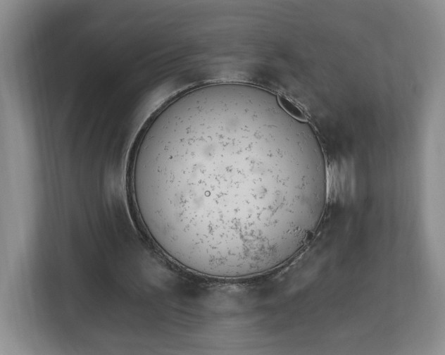 X0000112840195200908281558